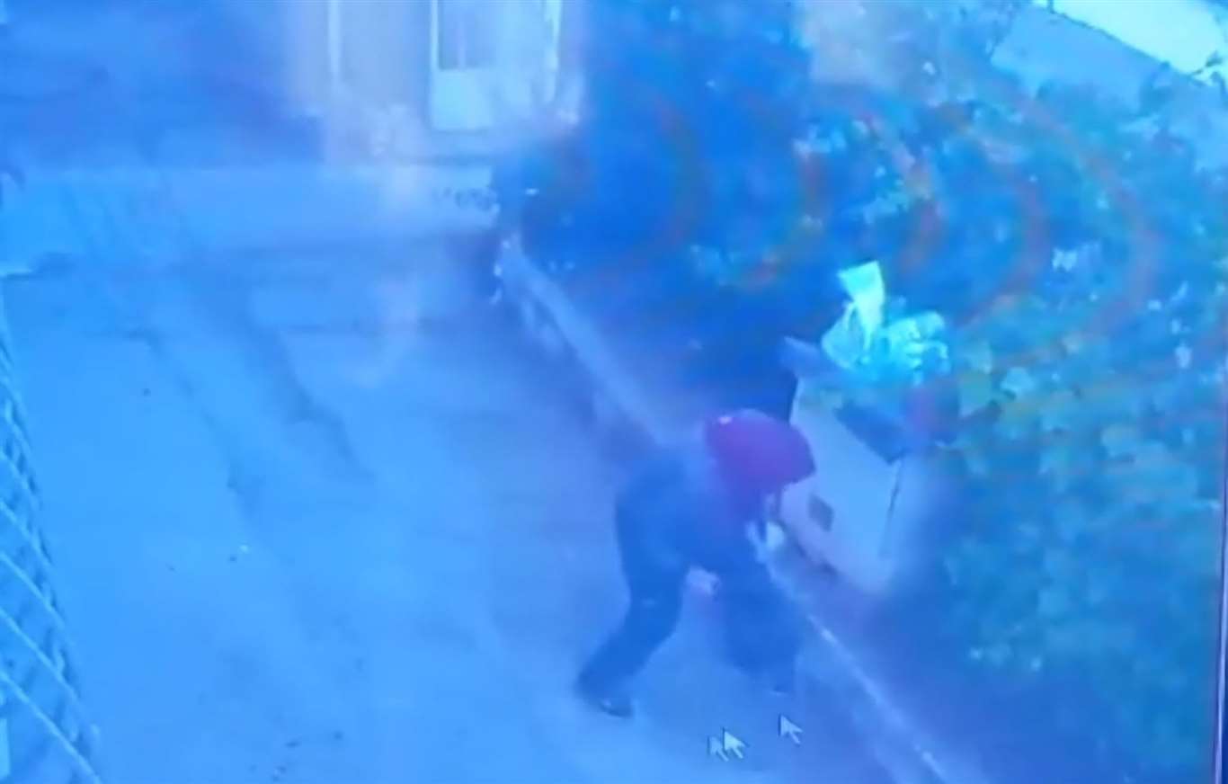Menteşe'de köpeğe şiddet davasında ilk duruşma görüldü haberi